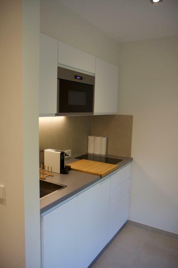 Fully Renovated Studio Flat With Own Parking Appartement